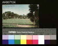 藏品(臺北新公園及博物館明信片)的圖片